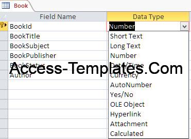 Data Types in Microsoft Access with Examples VBA Access